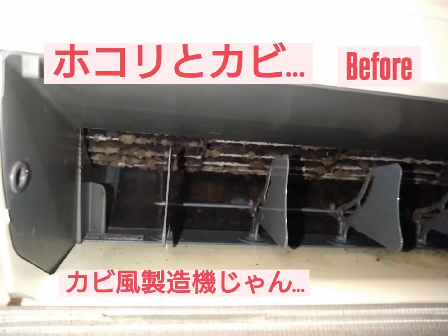 皆さんこんにちは!