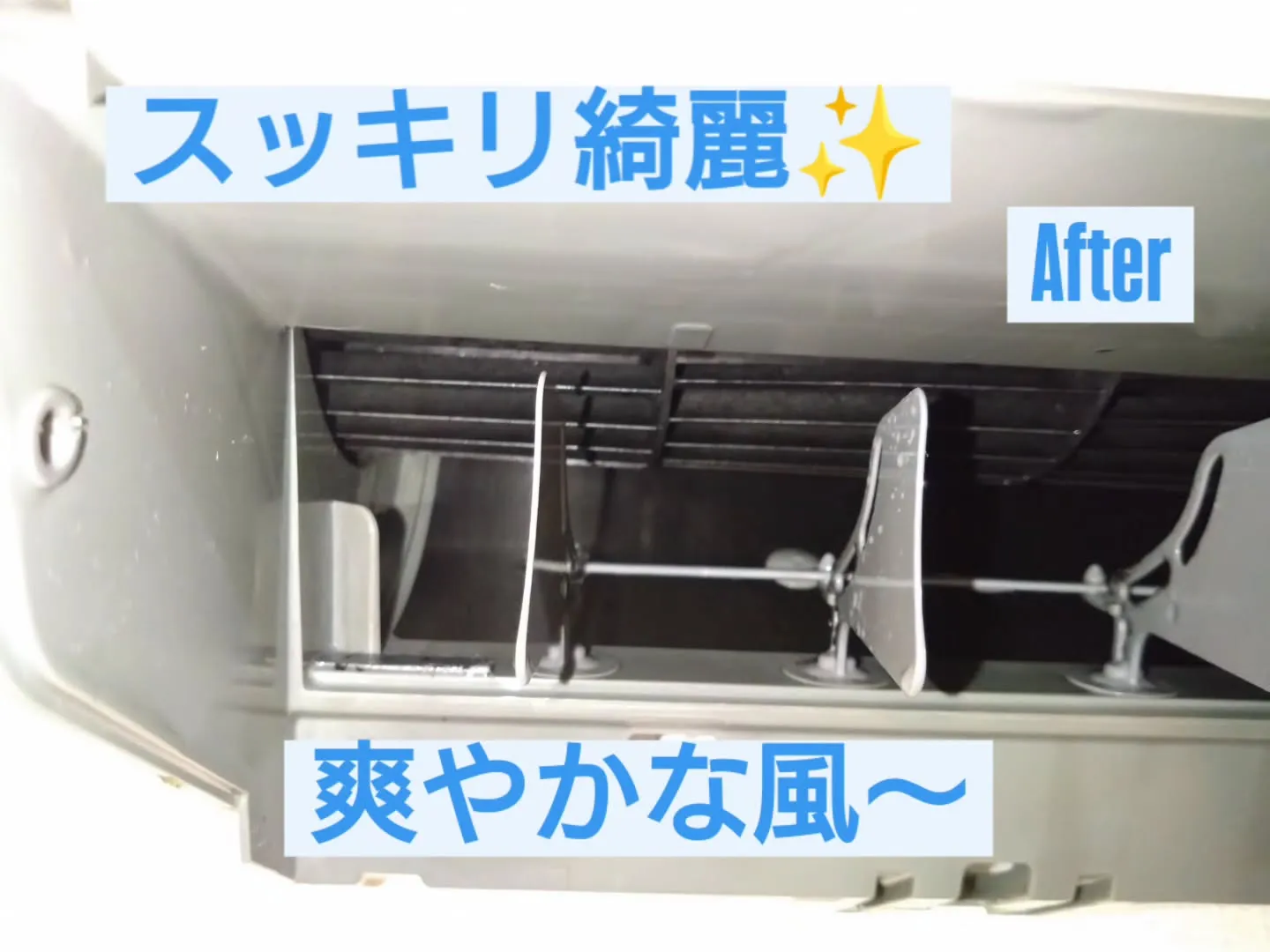 皆さんこんにちは!