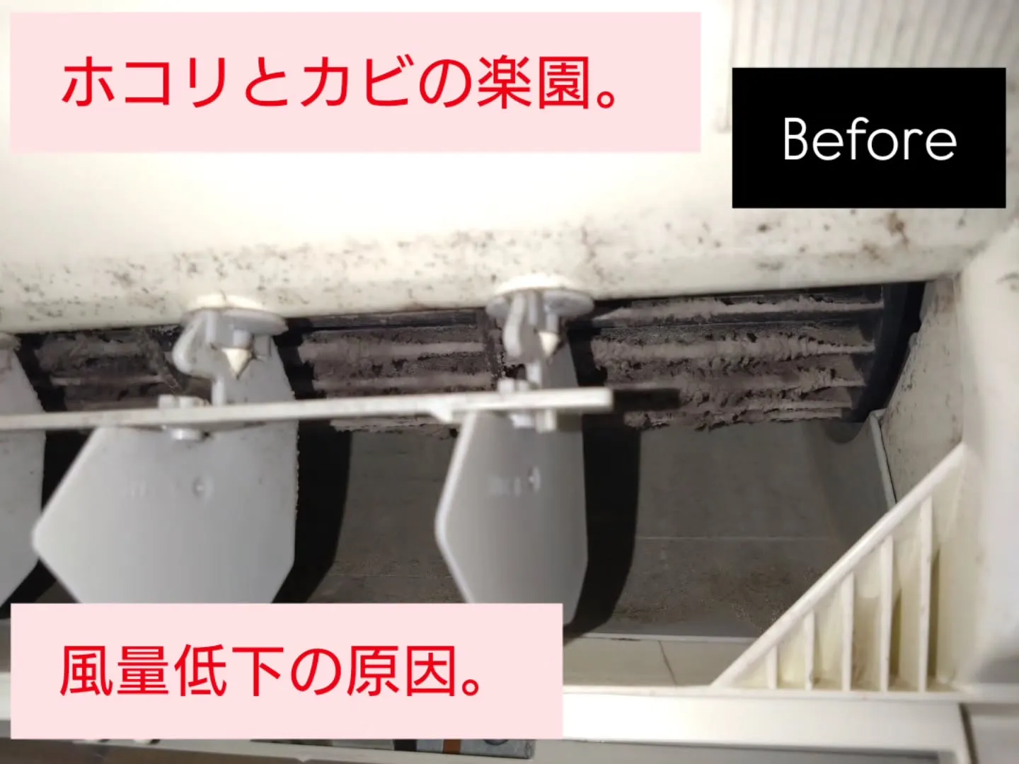 皆さんこんにちは！