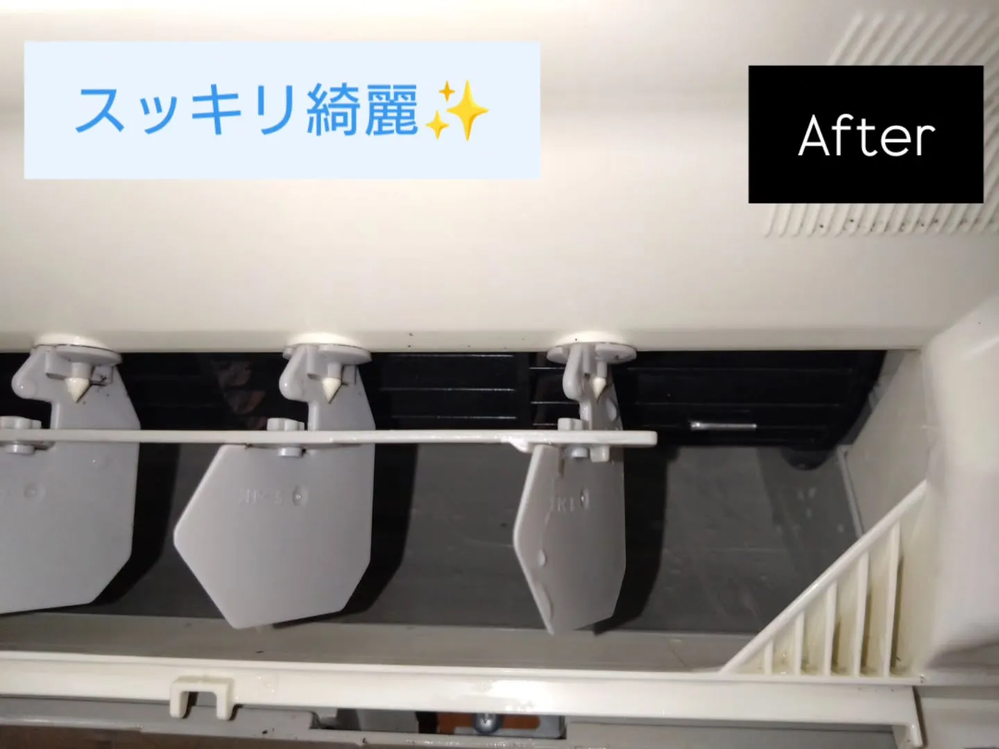皆さんこんにちは！