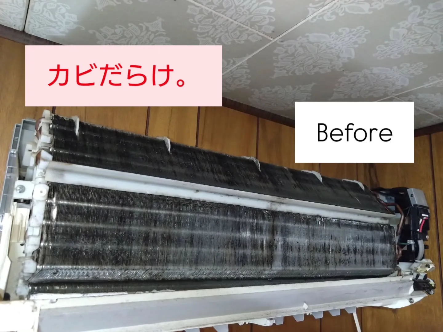 皆さんこんにちは！